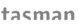 Logo de Tasman - Cliente de Avantys